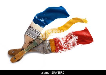 Various flat brushes painting blue, yellow and red color on a white background, concept creative business and metaphor for colorful diversity, copy sp Stock Photo