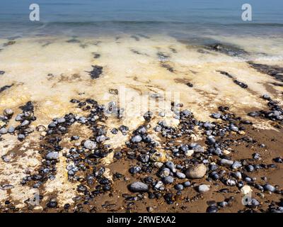 Flint pebbles and Chalk rock on the beach at West Runton, Norfolk, UK. Stock Photo