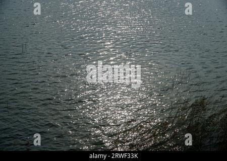 Sun reflecting in water surface Stock Photo