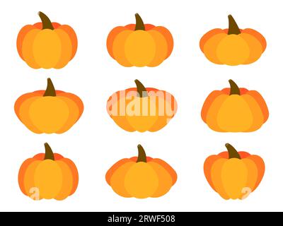 Pumpkins set on white background. Collection of orange pumpkins for Thanksgiving and Halloween. Traditional autumn design element for banners, posters Stock Vector