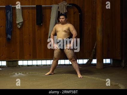 Sumo wrestler training in Tatsunami Beya sumo stable, Kanto region, Tokyo, Japan Stock Photo