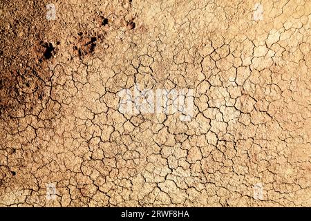 Dried mud surface - dry riverbed earth texture. Drought in California. Stock Photo