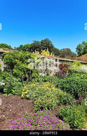 A mixed herbaceous border in a walled garden on a summers day Leckford estate, Stockbridge Hampshire England UK Stock Photo