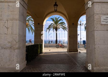 Photo of a palm tree in Nice shoot through a door way leading to the beach Stock Photo