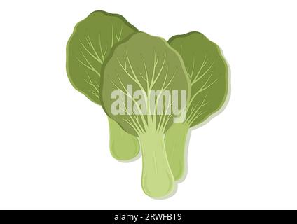 Vector illustration of mustard green pakcoy fresh vegetable. Delicious healthy food Stock Vector