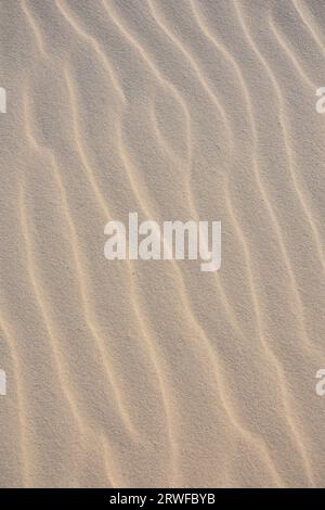 Wind patterns of white sand of a dune. Natural abstract textured background of sand in ripple wave pattern Stock Photo