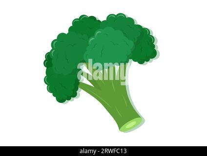 Vector illustration of broccoli fresh vegetable. Delicious healthy food Stock Vector