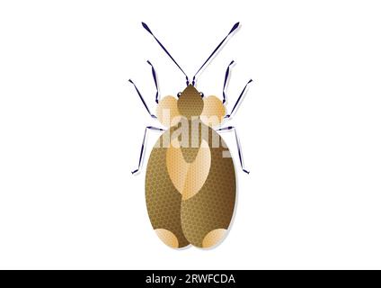 Bug Stephanitis Pyri Vector Art isolated on White Background Stock Vector