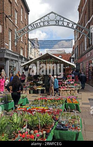 Entrance to Shambles Market, York Stock Photo