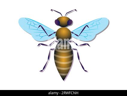 Hornet Vector Art Isolated on White Background Stock Vector