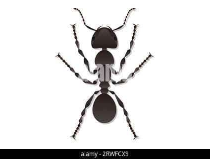Ant Vector Art Isolated on White Background Stock Vector