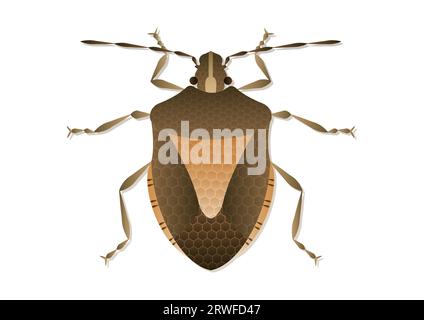 Stink Bug Vector Art isolated on White Background Stock Vector