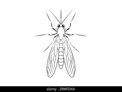 Black and White Mosquito Clipart. Coloring Page of a Mosquito Stock Vector