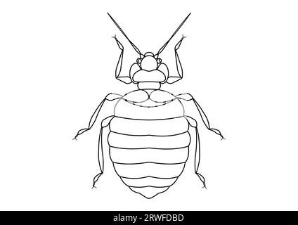 Black and White Bed Bug Clipart. Coloring Page of Bed Bug Stock Vector