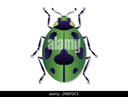 Green Beetle Vector Art. Green Ladybug Clipart Isolated on White Background Stock Vector