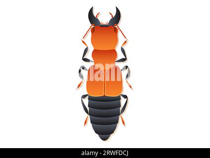 Oxyporus Rufus Beetle Vector Art Isolated on White Background Stock Vector