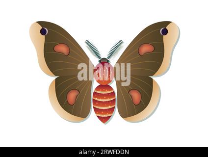 Moth Insect Vector Art isolated on White Background Stock Vector
