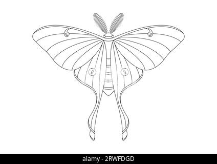 Black and White Butterfly Luna Moth Clipart Vector isolated on White Background. Coloring Page of a Butterfly Luna Moth Stock Vector