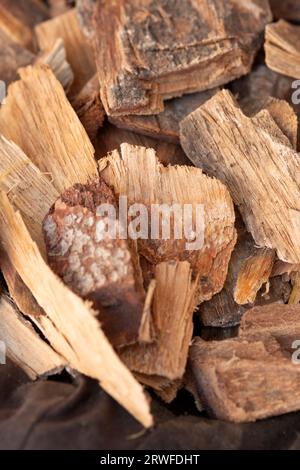 Incense Woods, White Sandalwood, Santalum Album Stock Photo