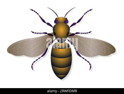 Honeybee Vector Art Isolated on White Background Stock Vector
