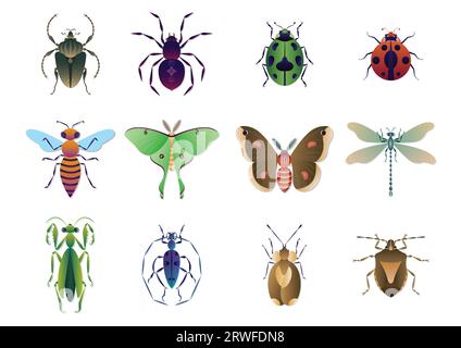 Different kinds of insects collection vector illustration Stock Vector