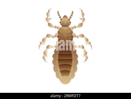 Louse Insect Vector Art isolated on White Background Stock Vector
