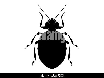 Black and White Bed Bug Clipart Stock Vector