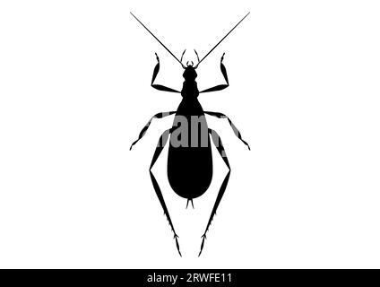 Black and White Tree Cricket Clipart Vector isolated on White Background Stock Vector
