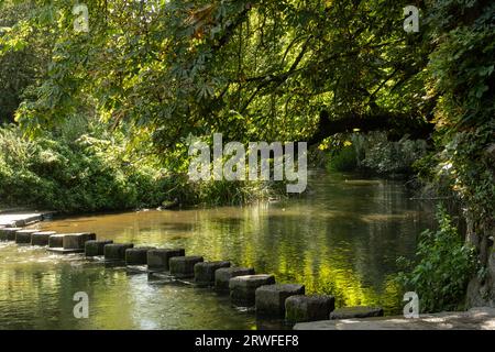 Stepping Stones over River Mole, Surrey, UK. Ancient crossing. Stock Photo