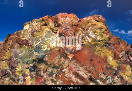 Petrified Wood at Petrified Forest National Park, Arizona USA, with clear blue sky. A petrified log has crystallized into many varied colors formed by Stock Photo