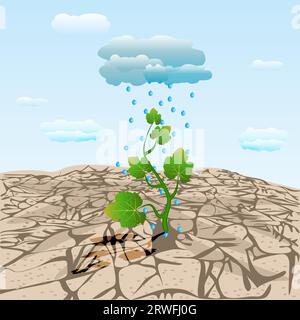 Dry cracked land with plant sprout and rainy cloud. Tree on arid ground.Rain falling on sprout in desert. Land degradation, water shortage and drought Stock Vector