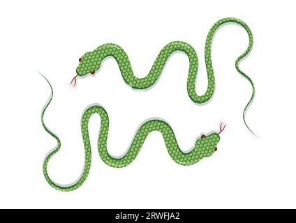 Snake Vector Flat Design Isolated on white Background. Vector Illustration of Two Green Snakes Stock Vector