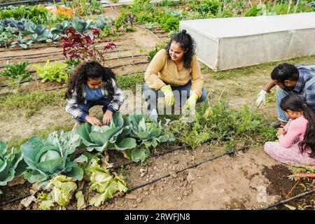 Indian family picking up organic vegetables from house garden outdoor ...