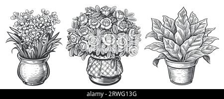 Houseplants set in engraving style. Indoor plants sketch. Flowers in pot. Vintage vector illustration Stock Vector