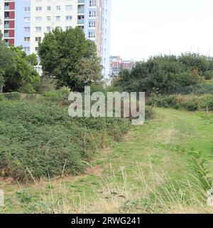 Gosport, England. September 16th 2023. A path through trees and shrubs. Gosport's Bastion Number 1 was part of an elaborate earthwork fortification known as the Gosport Lines. The Lines were built between the 17th and 19th centuries and surrounded the town and harbour. They were part of an overall defence mechanism for the Portsmouth area. Stock Photo