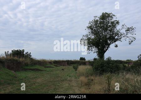 Gosport, England. September 16th 2023. An isolated tree growing on high ground in the bastion. Gosport's Bastion Number 1 was part of an elaborate earthwork fortification known as the Gosport Lines. The Lines were built between the 17th and 19th centuries and surrounded the town and harbour. They were part of an overall defence mechanism for the Portsmouth area. Stock Photo