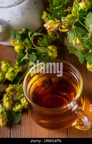 Herbal hop cones and flowers tea. Organic raw alternative hot drink, with fresh hop cones on wooden table copy space Stock Photo