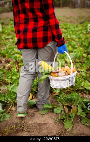 Gardener carrying basket with freshly harvested vegetables in garden Stock Photo