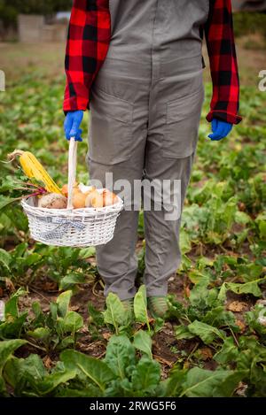 woman farmer in overalls working in gardening. Gardener carrying basket with freshly harvested vegetables in garden Stock Photo