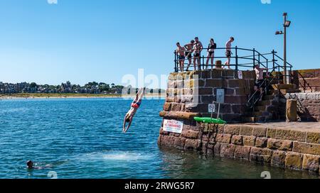 Boy diving into sea from quayside in hot Summer weather, North Berwick harbour, East Lothian, Scotland, UK Stock Photo