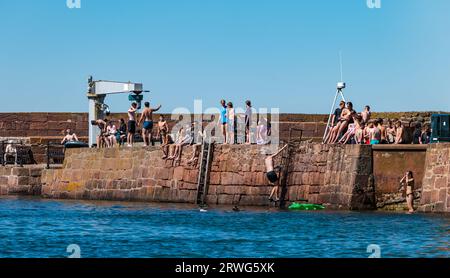 Children jumping into sea from quayside in hot Summer weather, North Berwick harbour, East Lothian, Scotland, UK Stock Photo