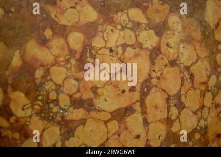 orange red marble natural pattern. Rosso Verona Marble Stock Photo
