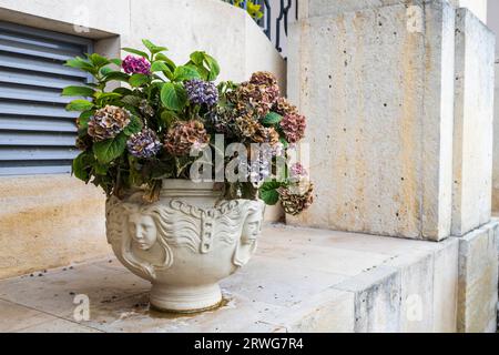A tall stone vase with multi-colored hydrangea decorates a city street. Stock Photo