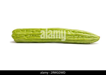 Bitter melon, bitter gourd,  bitter cucumber isolated on white background. Stock Photo