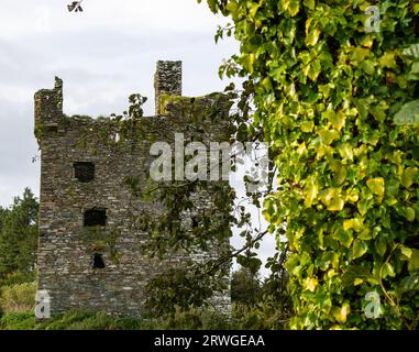 Ruin Fortified Tower Ballinvard Castle seen through woods.West Cork Ireland Stock Photo