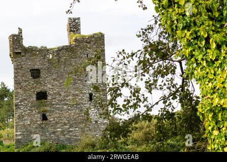Ruin Fortified Tower Ballinvard Castle seen through woods.West Cork Ireland Stock Photo