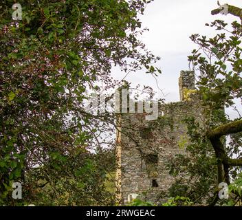 Ruin Fortified Tower Ballinvard Castle seen through woods.West Cork Ireland Stock Photo