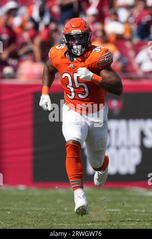 Chicago Bears fullback Khari Blasingame (35) catches a pass during warmups  before an NFL football game in Chicago, Sunday, Nov. 13, 2022. (AP  Photo/Nam Y. Huh Stock Photo - Alamy