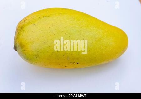 Ripe Ataulfo Mango Stock Photo