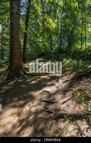 Bieszczady Mountains, Bieszczadzki National Park, Polish Mountains and landscapes, Zwiezlo nature reserve, Duszatynskie lakes, podkarpackie, Poland Stock Photo